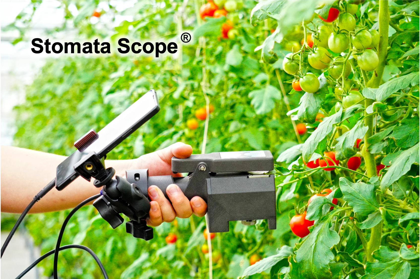 Stomata Scope